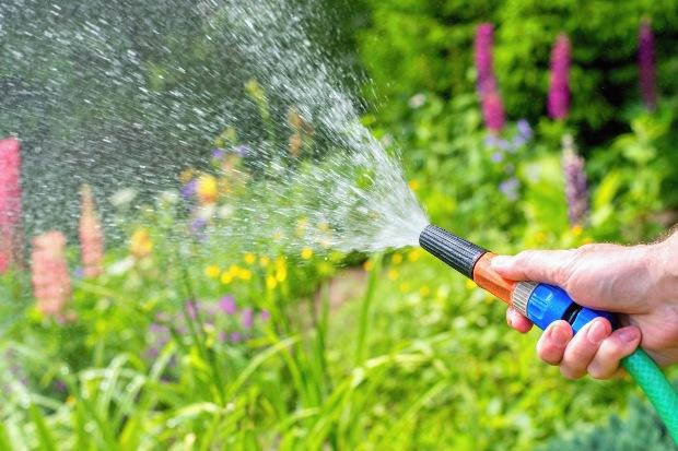 Garten-Bewaesserung-mit-Schlauch