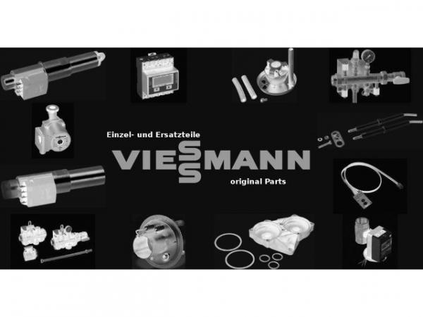 VIESSMANN Wärmedämmung Mantel Links