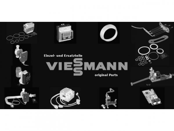 VIESSMANN 7855861 Revisionstür