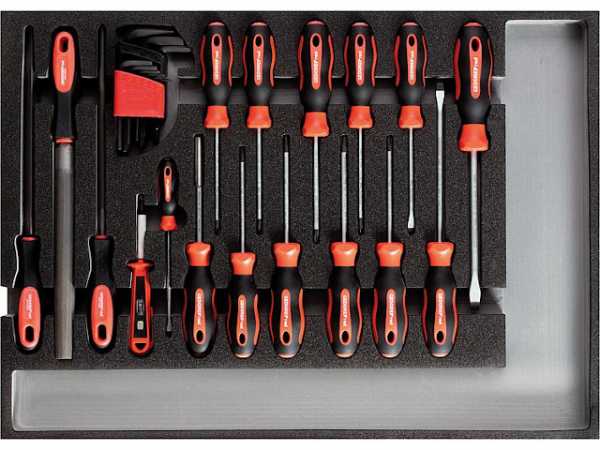 Werkzeugsatz GEDORE red Schraubendreher und Feilen, zuschneidbar 570x410mm bis 482x345mm
