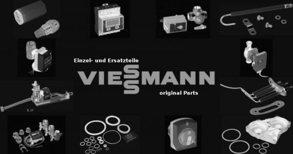 VIESSMANN 7308379 Reinigungsgeräte Paromat-Tripl.