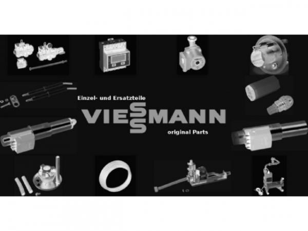 Viessmann Timer 7408866