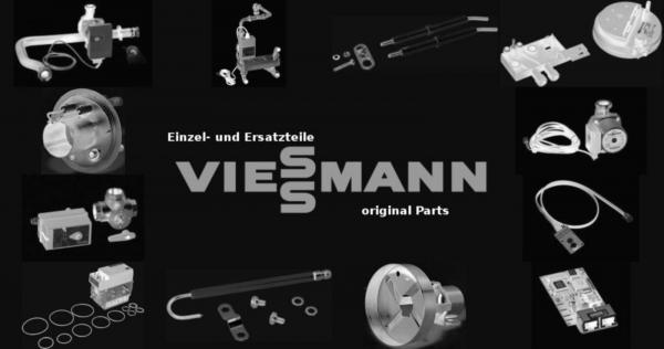 VIESSMANN 7322036 Innenrohr