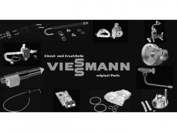 Viessmann Sicherung T 0,315A 250V (10 Stück) 7404360