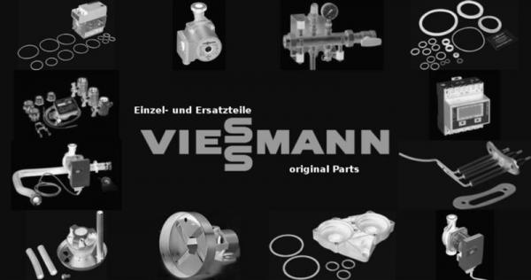 VIESSMANN 7831945 Filter