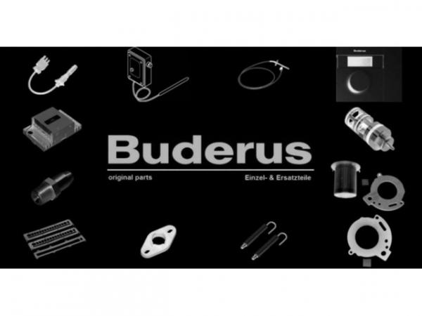Buderus 8735100124 Blechschr 2,9X9,5 A3K (6x)everp