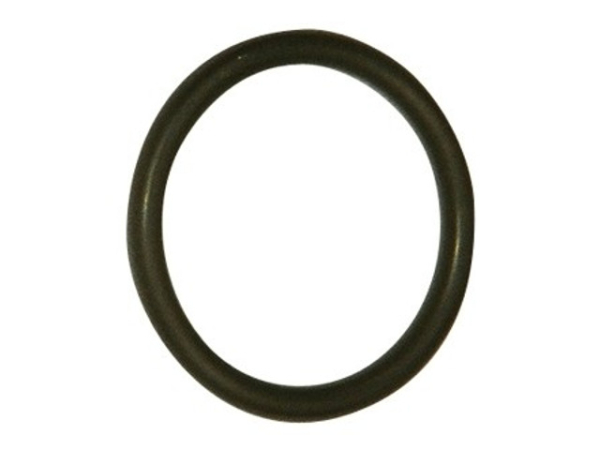 EWFE O-Ring für Modelle MZ 22-25 S, 5-25 C/S, 40 C, 11-25 C, robustes Design