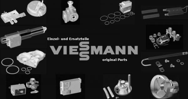 VIESSMANN 7323580 Reinigungsbürste D=51-M10 m.Griff +Verl.