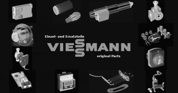 VIESSMANN 7318849 Zerstäubungskopf