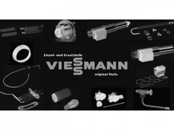 Viessmann Mantelmatte Mitte 5336754