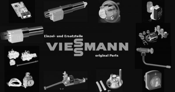 VIESSMANN 7323582 Reinigungsbürste D=51-M10 m.Griff +Verl.